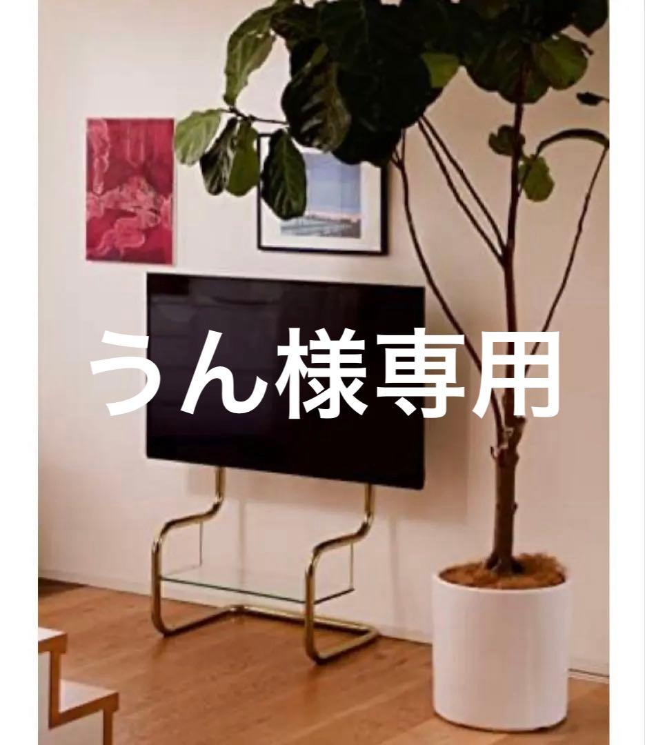 zeitgeist テレビスタンド　ザイトガイスト