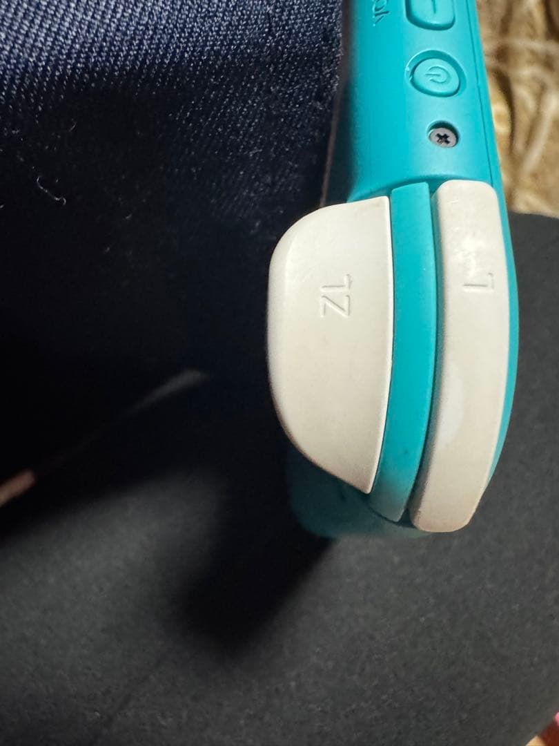 お買い得‼️Switch LITE本体&あつまれどうぶつの森ソフト