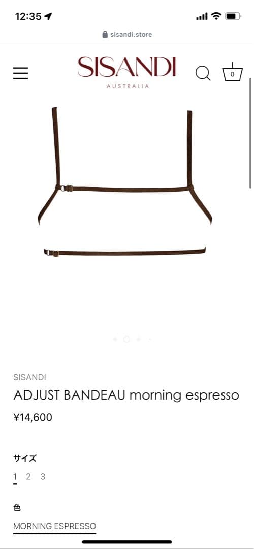 SISANDI ブラウン セパレート水着