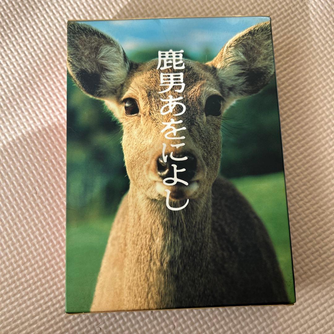鹿男あをによし DVD-BOX ディレクターズカット完全版〈6枚組〉