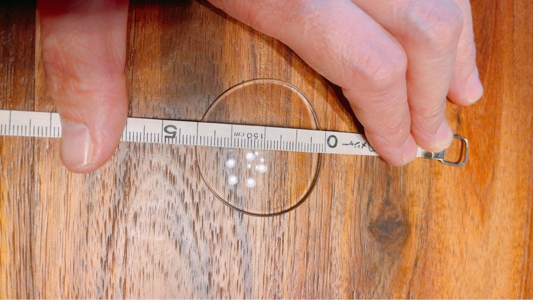 アンティーク　眼鏡　子供サイズ　白蝶貝