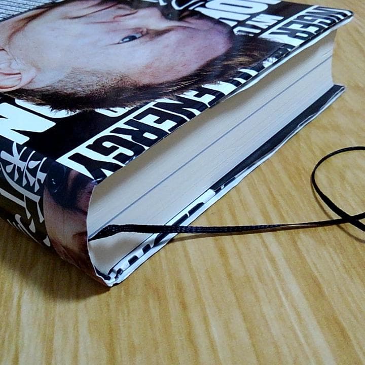 ジョン・ライドン 自伝 怒りはエナジー