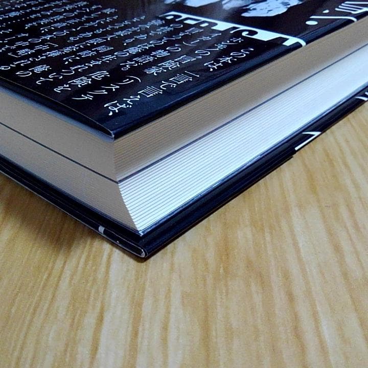 ジョン・ライドン 自伝 怒りはエナジー