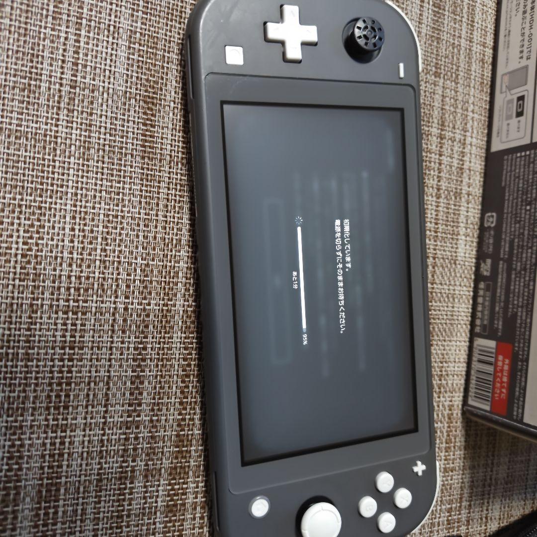 Nintendo Switch Lite グレー 本体 充電器 　スイッチライト