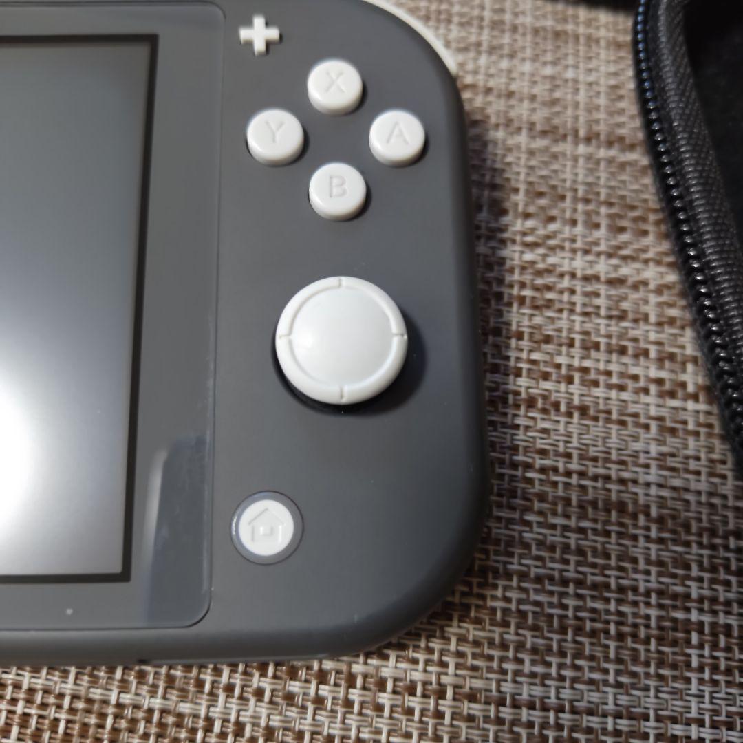 Nintendo Switch Lite グレー 本体 充電器 　スイッチライト