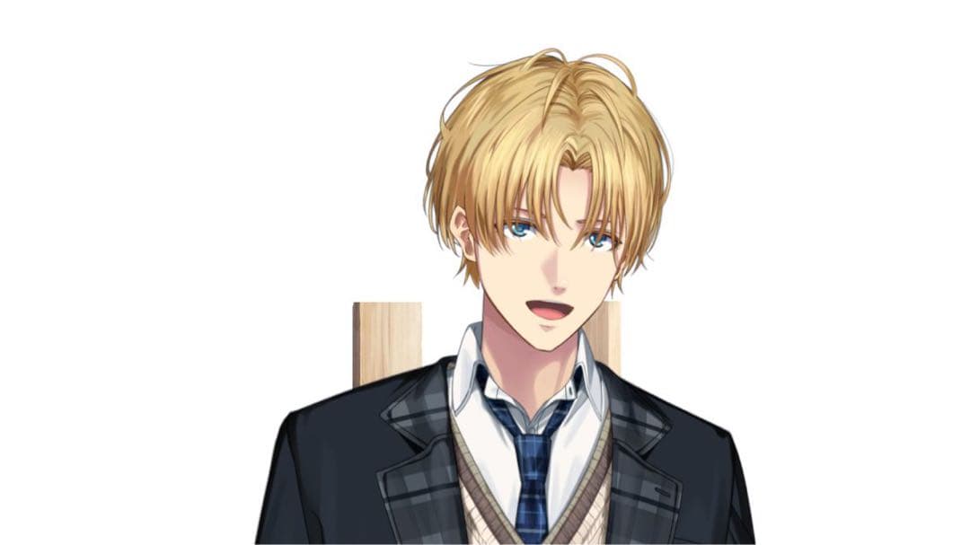 ちゃす様　ウィッグオーダーページ