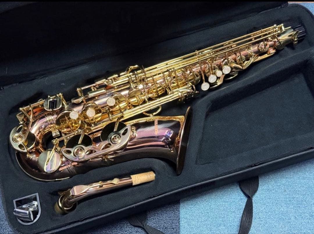 PLAYTECH PTAS-350 アルトサックスローズブラス +α