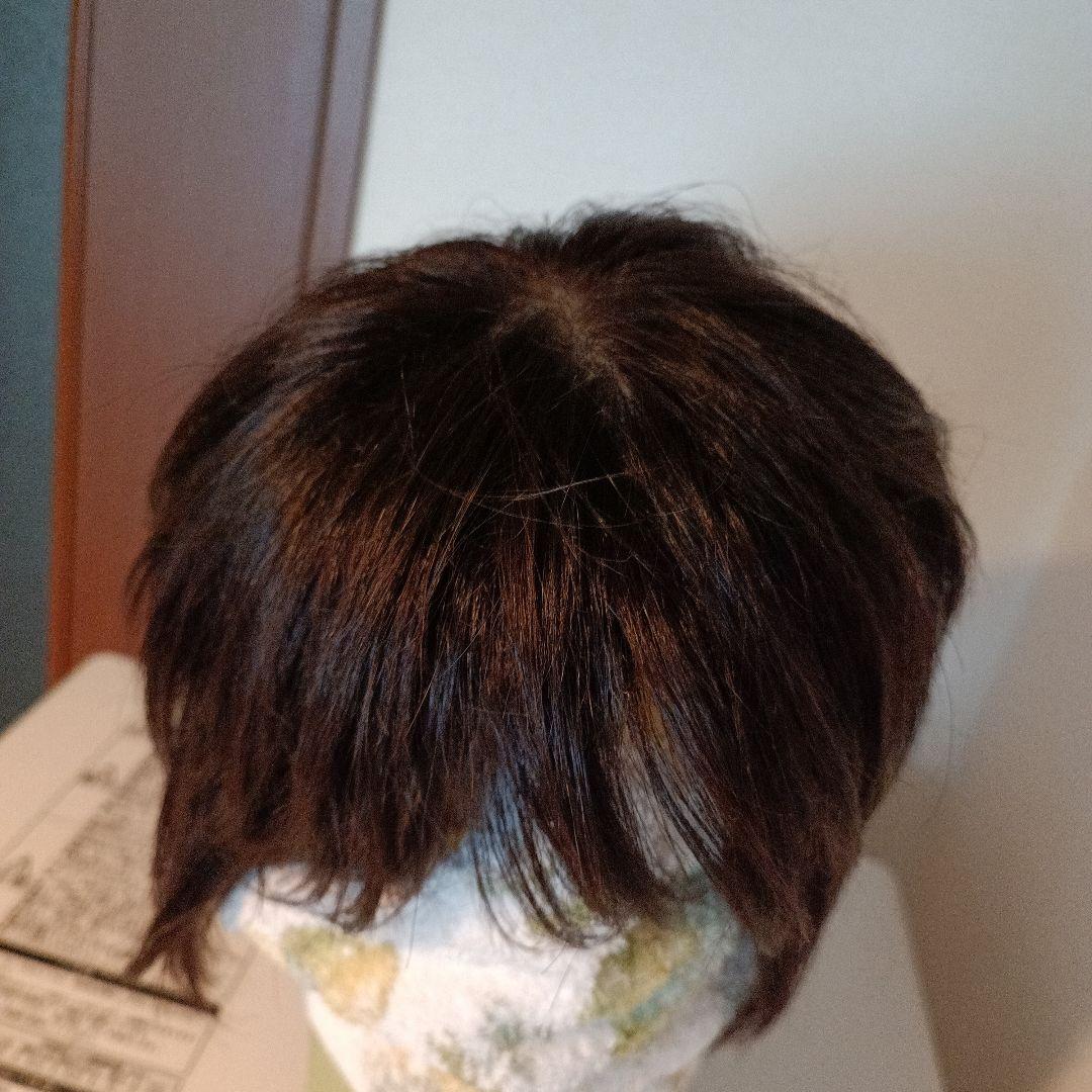 フォンテーヌヴァラン プレミアム フルウィッグ