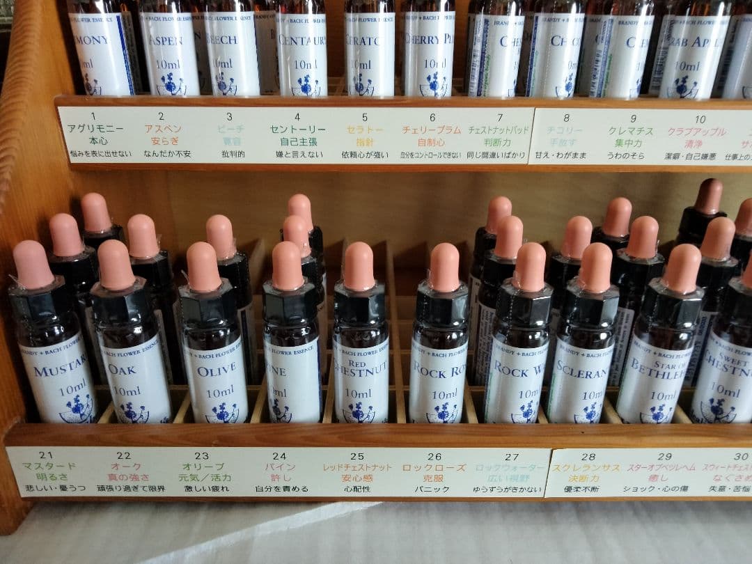 ことり様■ ビーチ ミムラス マスタード スターオブベツレヘム ワイルドオート