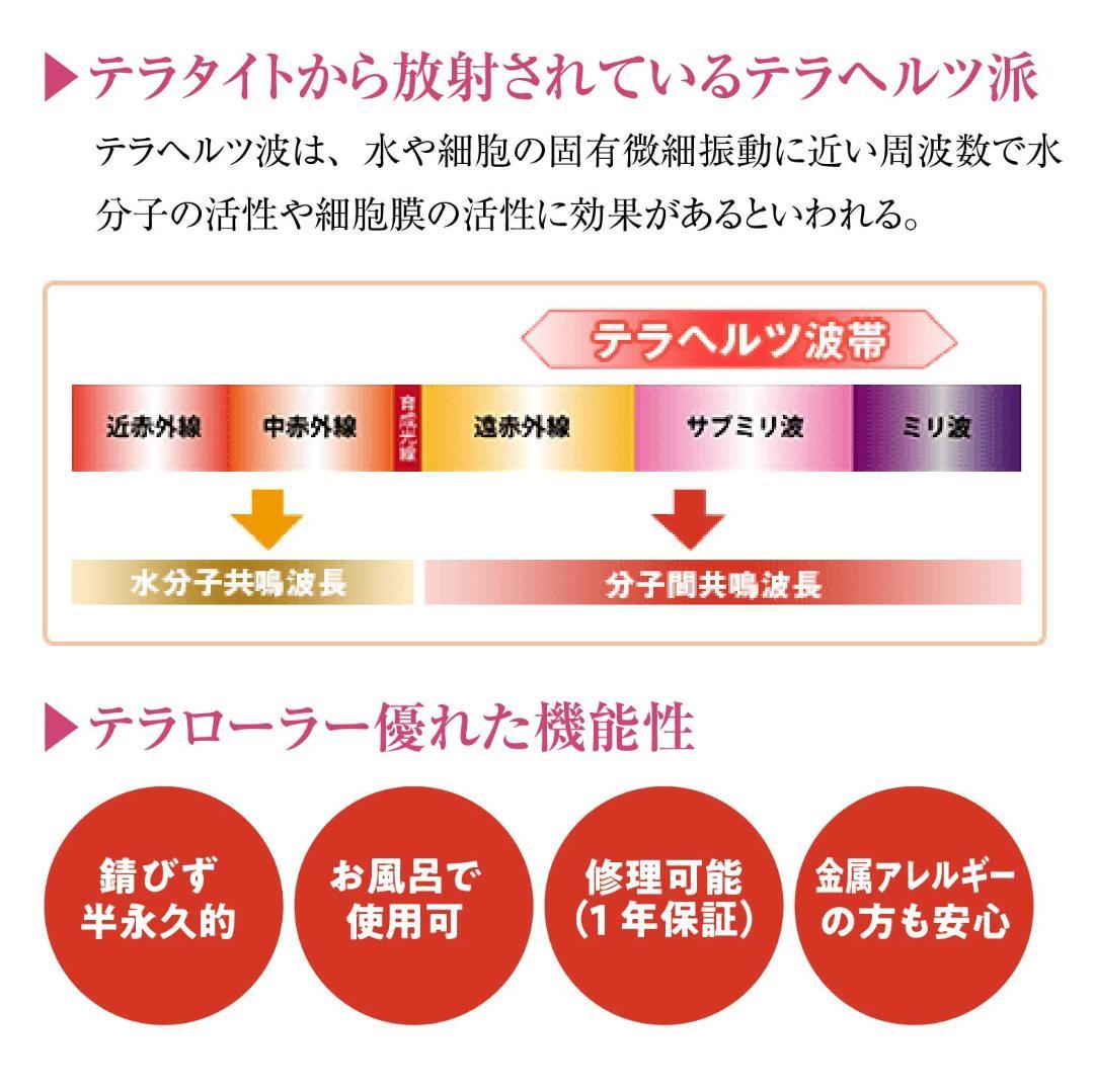 テラローラー・ミュー