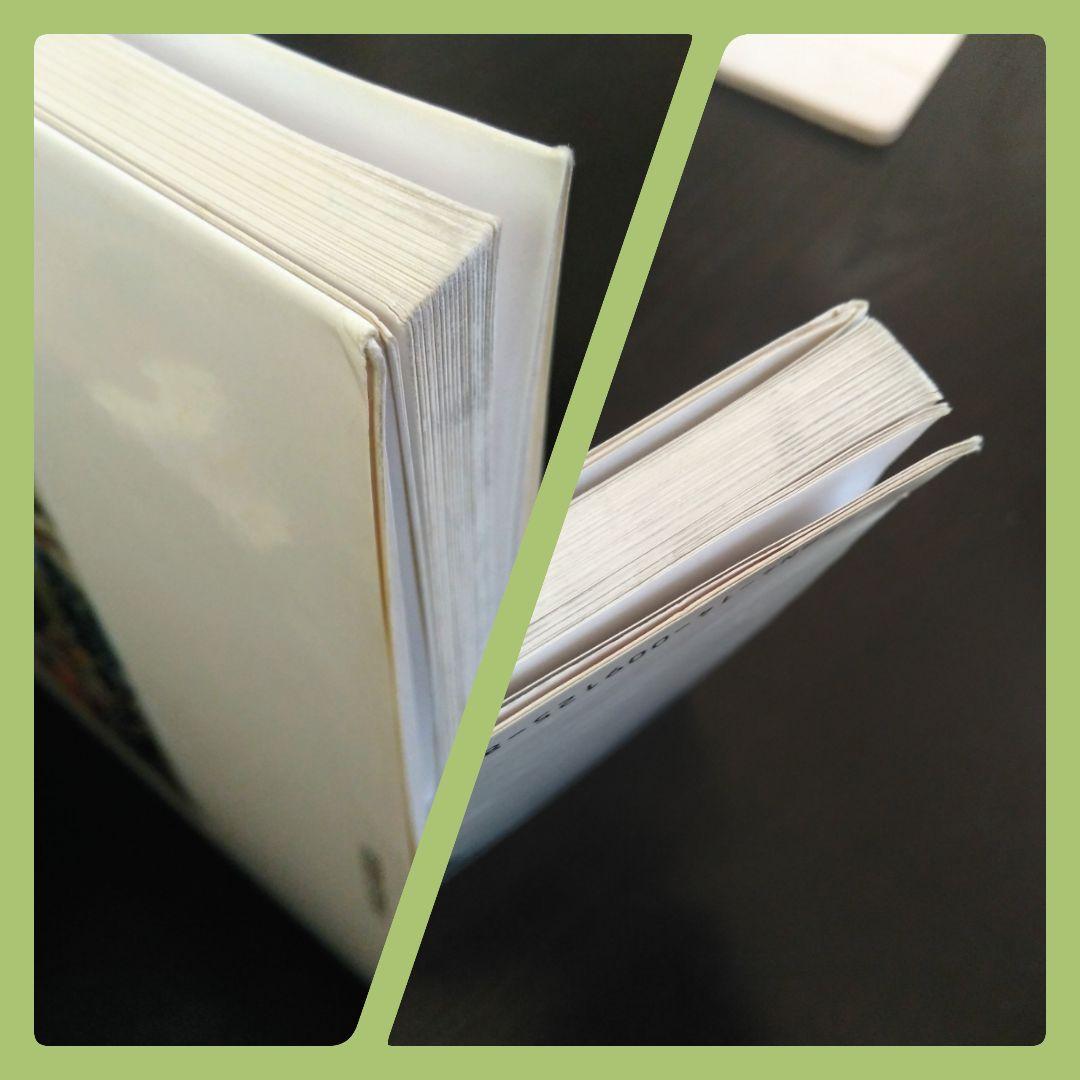 ビン・カシワの世界 : Paris naïf　アート　パリ　貴重本