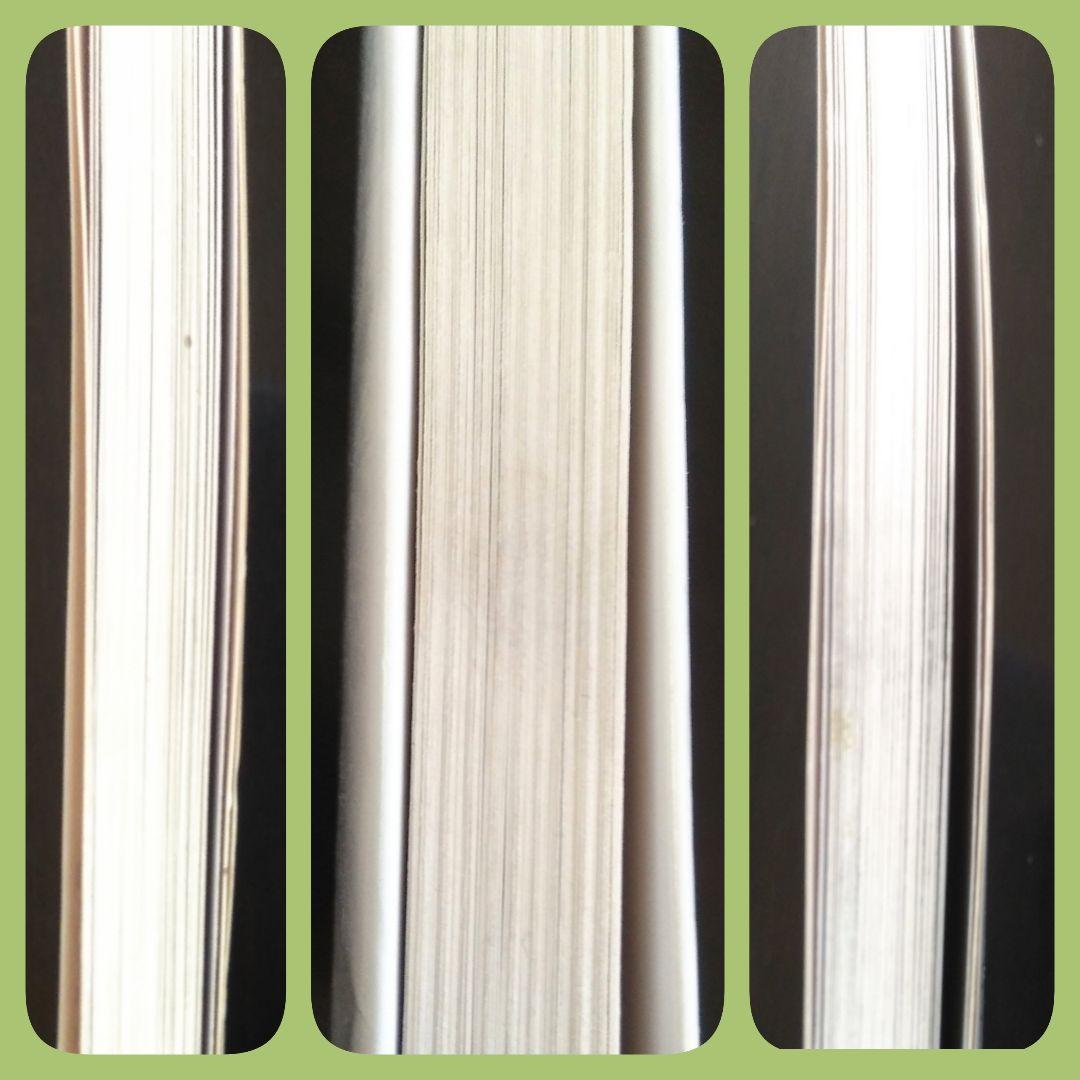 ビン・カシワの世界 : Paris naïf　アート　パリ　貴重本