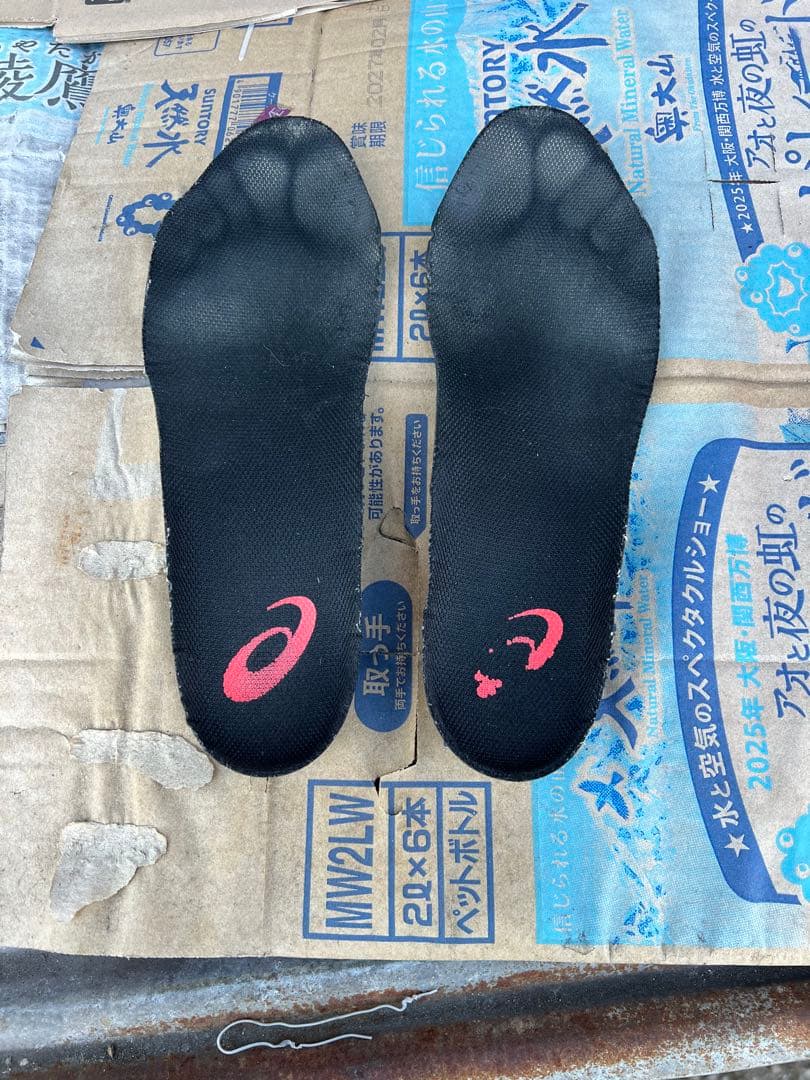 アシックス 安全靴 WINJOB CP304 マーブル 限定色