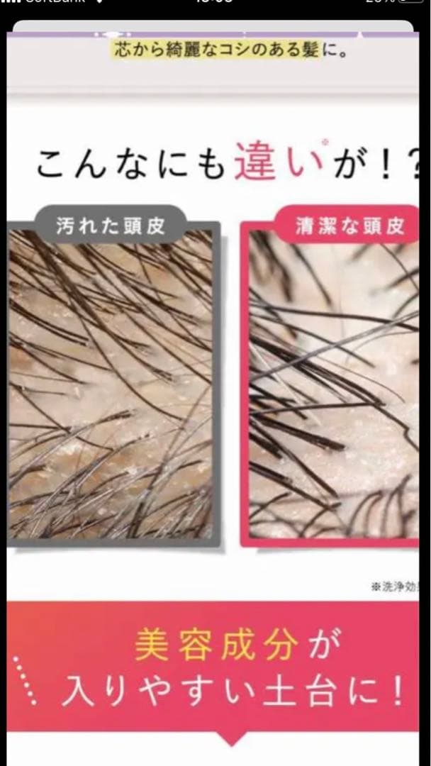 クレイクリームシャンプー380ｇ 3本セット