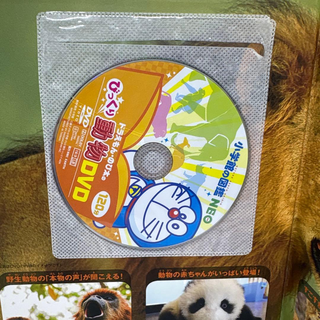 小学館の図鑑NEO 10冊セット