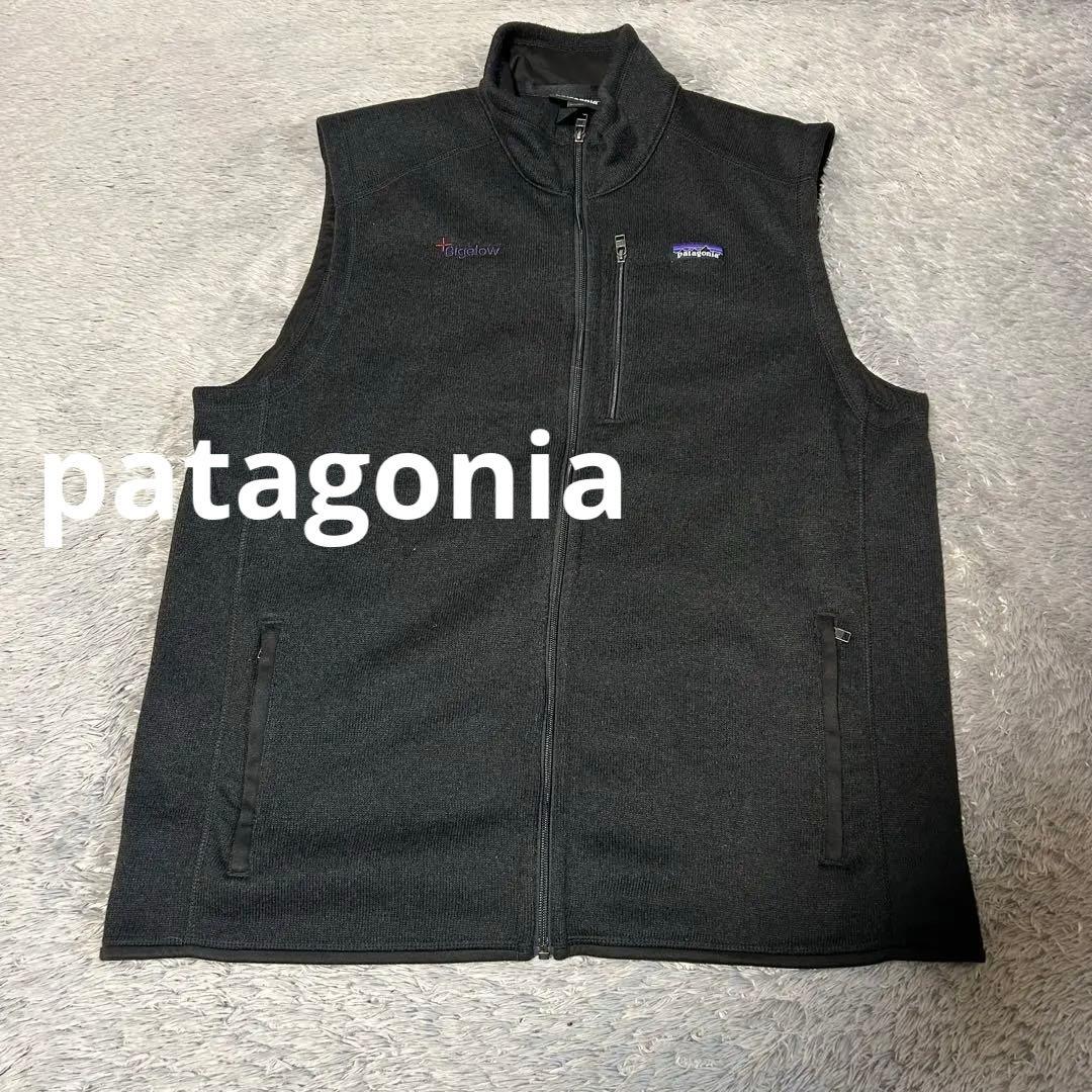 patagonia パタゴニア　ニットベスト　企業ロゴbigelow XXL
