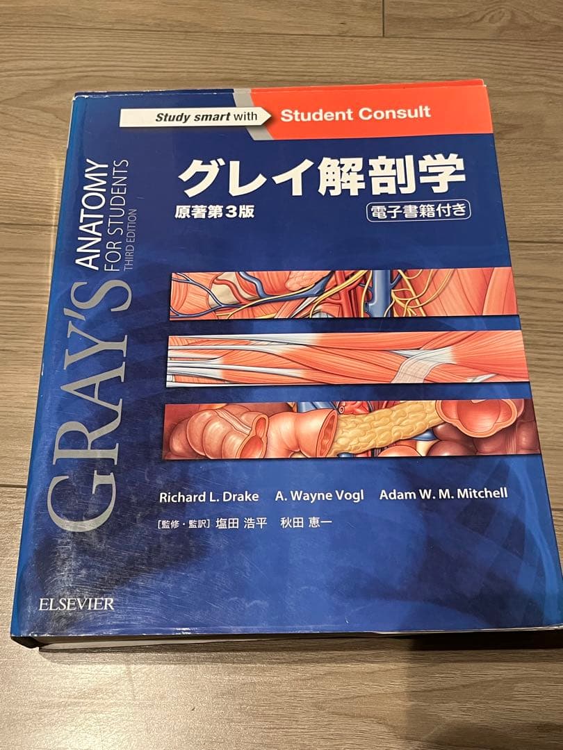 グレイ解剖学 原著第3版｜Gray’s Anatomy｜状態良好｜書き込み少