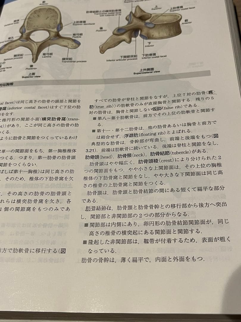 グレイ解剖学 原著第3版｜Gray’s Anatomy｜状態良好｜書き込み少