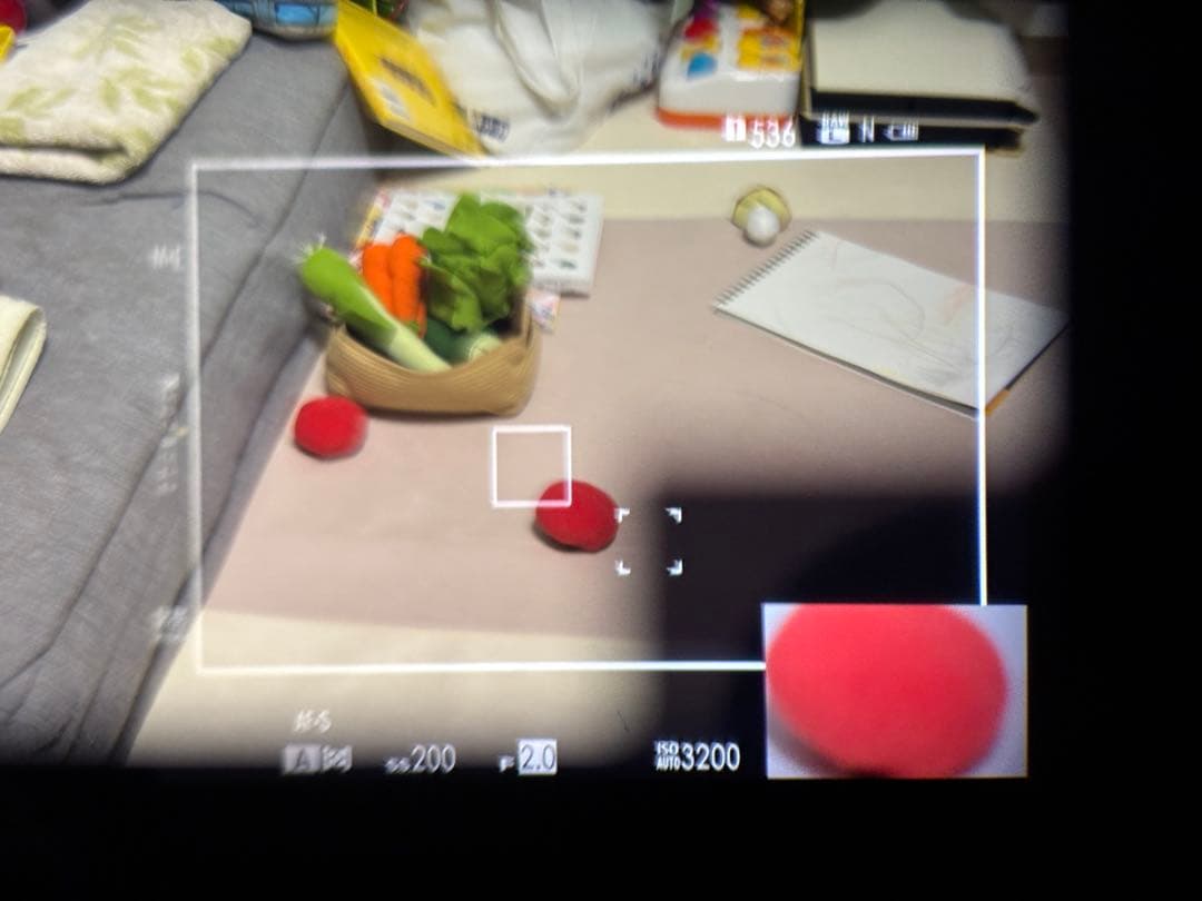 Fujifilm x-pro2【実用品)