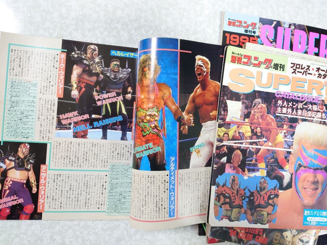 週刊ゴングオールスタースーパーカタログ　週刊プロレス写真名鑑号他 14冊セット