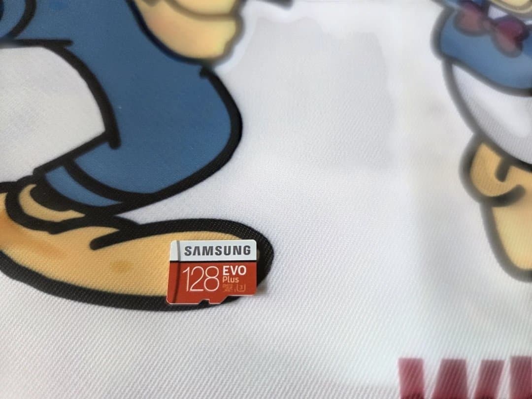 Nintendo Switch Lite 青色 箱あり SDカード付き