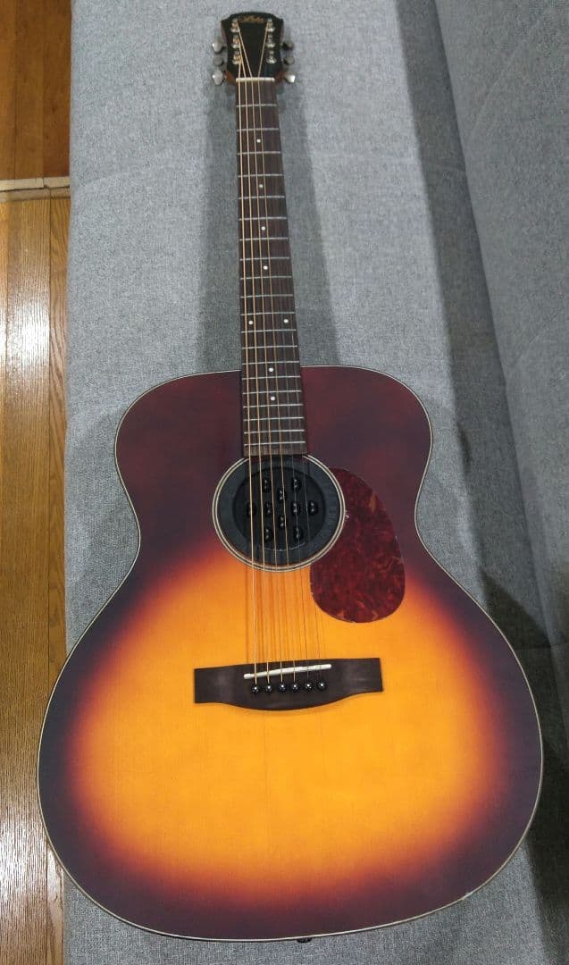 ARIA 　Aria　アコースティックギター　101 MTTS　ギターケース付き