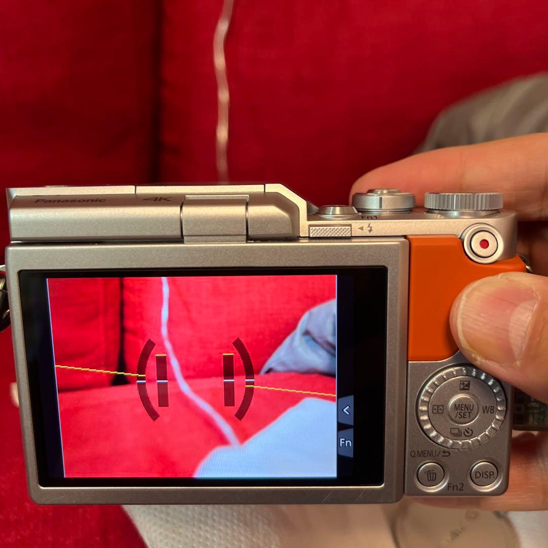 最終値下げ価格　Panasonic DC-GF10W