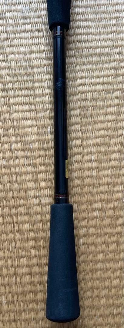 ダイワ　シーフレックス64 50-240