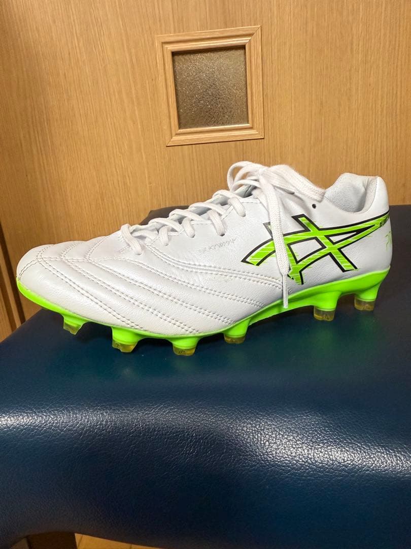 シューズ DS LIGHT X-FLY PRO3 24.5cm xfly pro3