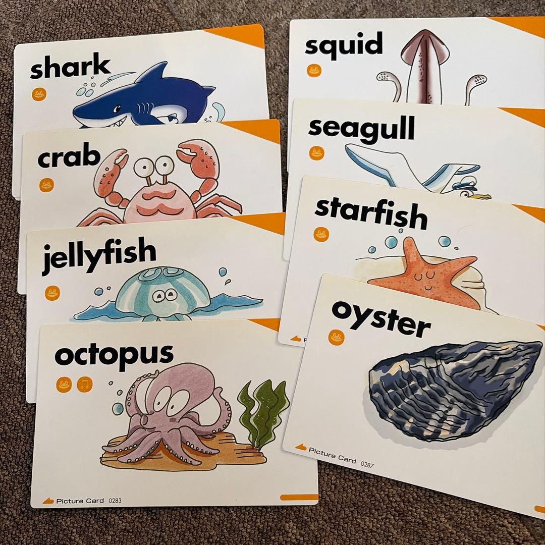 ペッピーキッズクラブ英語教材セット