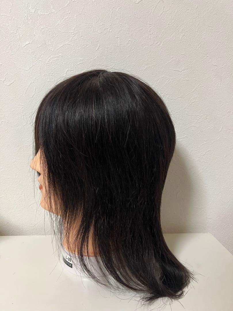 練習用カットウィッグ3体