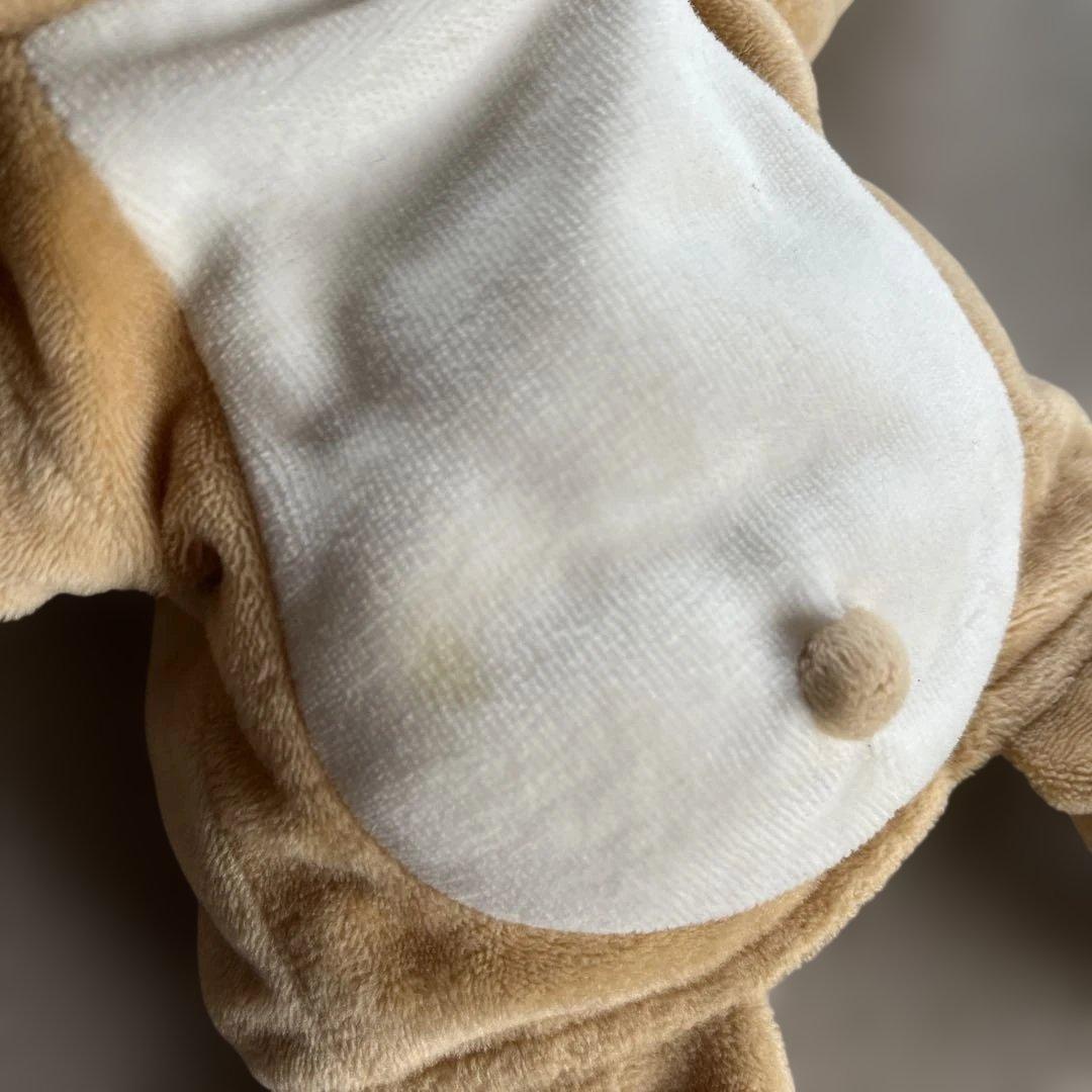 【DWE】zippy and me ZAM zam ディズニー英語dwe