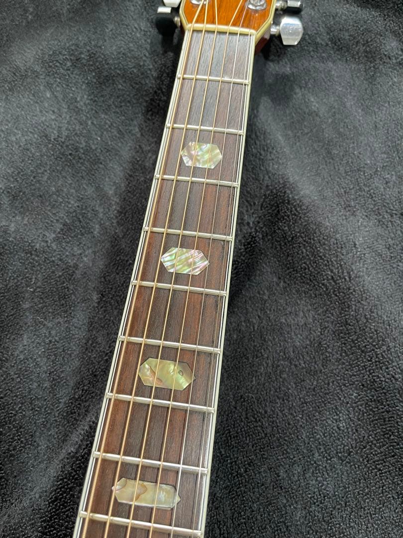 TF Morris W-60 83年製 縦ロゴ ハカランダ ハードケース付属