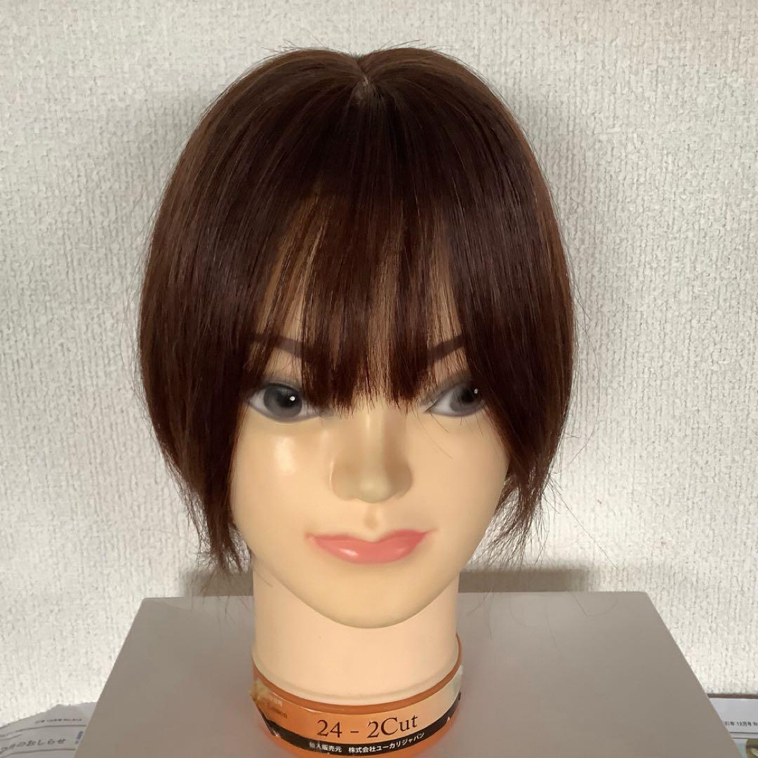 人毛100%総手植え 医療用 部分ウィッグ ヘアピース ブラックブラウン