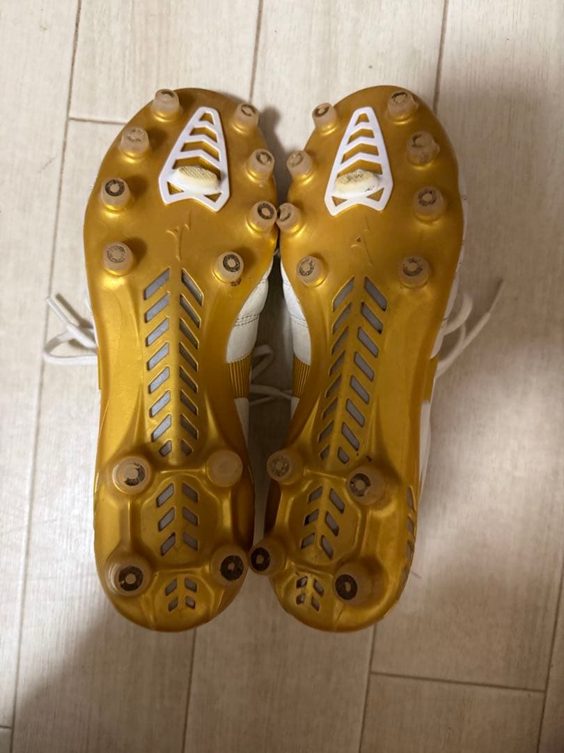 ミズノ モナルシーダネオ2 エリート 25cm