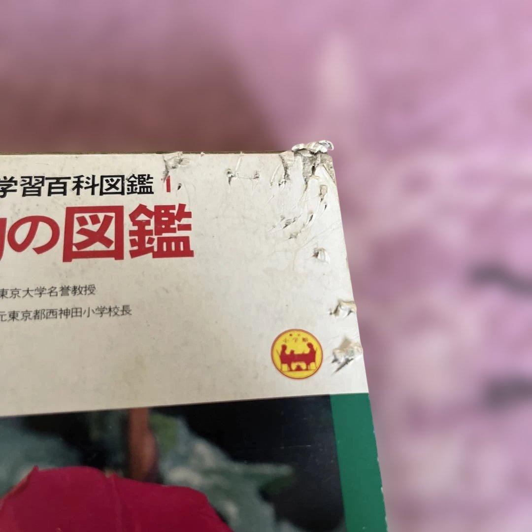 小学館の学習百科図鑑