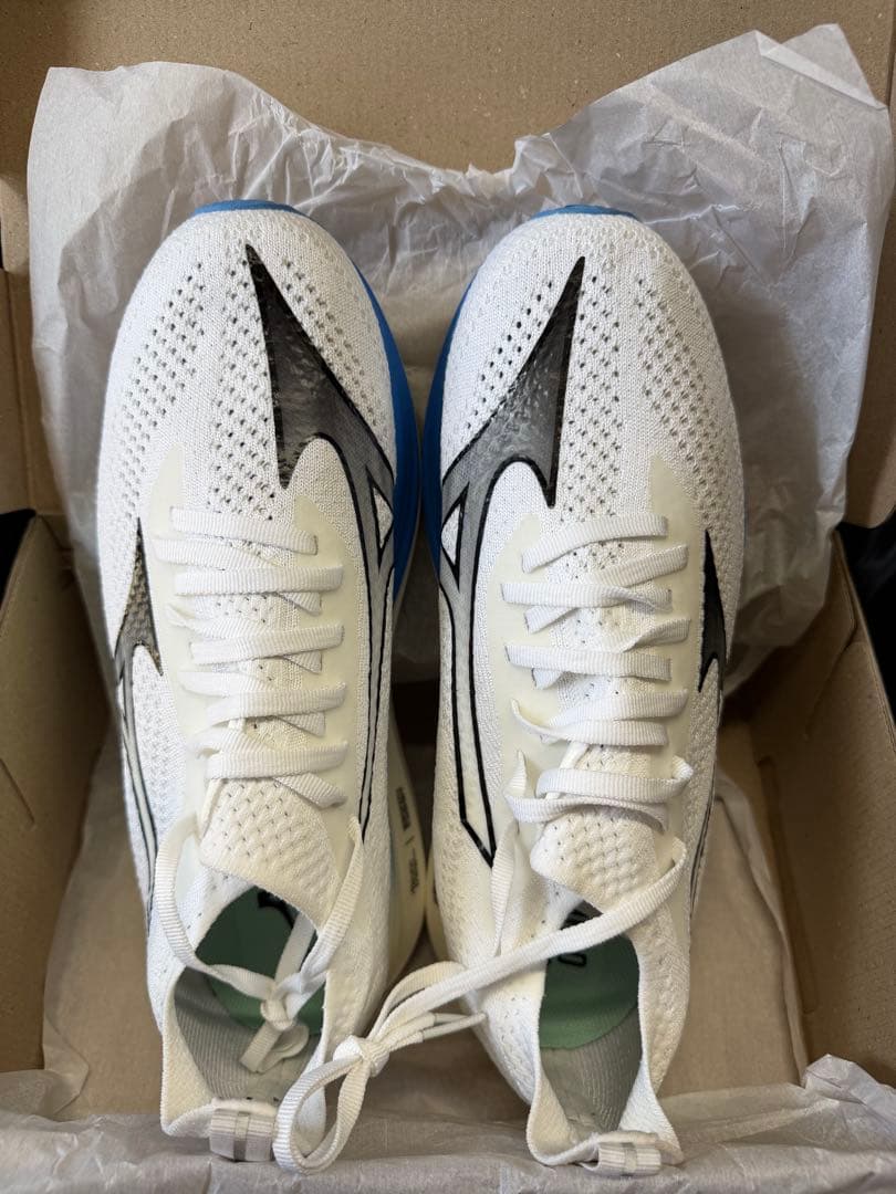 ミズノネオゼン 27.0