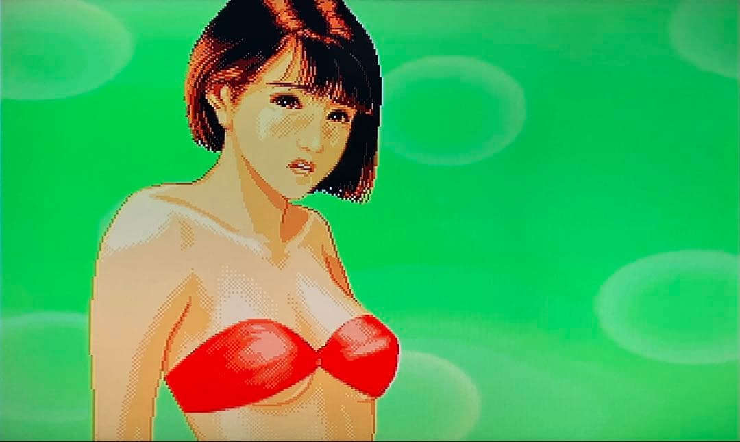 Don Den Lover Vol.1 オセロ アーケード基板