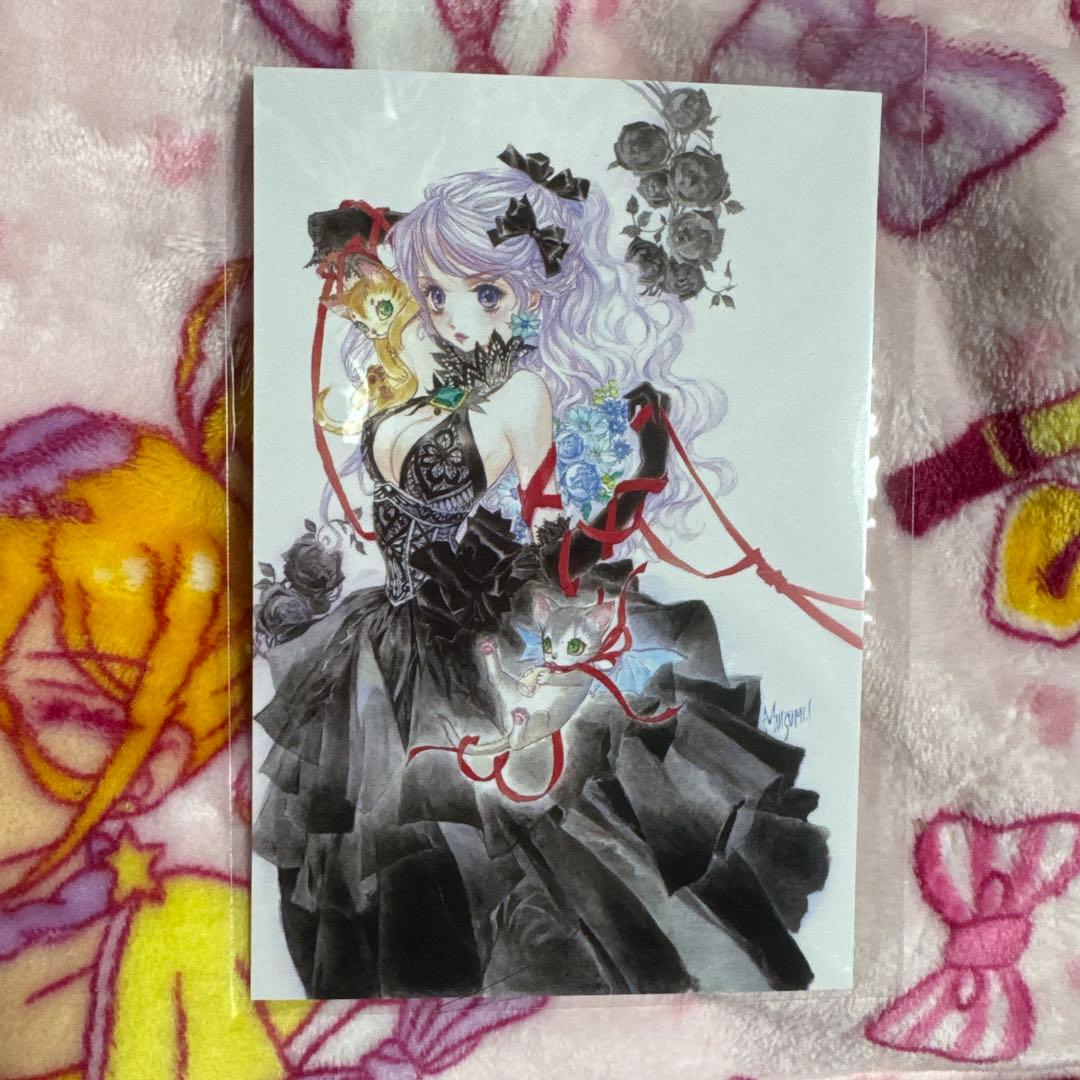 いのまたむつみ 画集 Sanctuary サンクチュアリ 画業40周年記念 未読