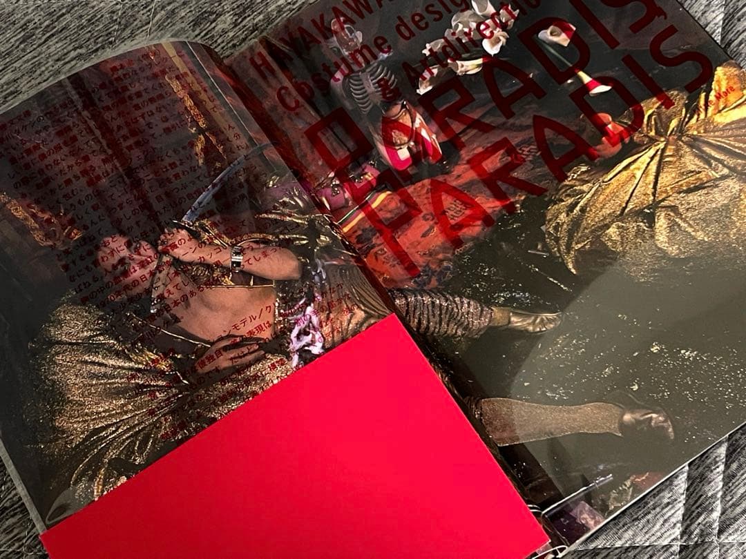 【補修製本済美品・即日発送】早川タケジ PARADIS PARADIS 沢田研二