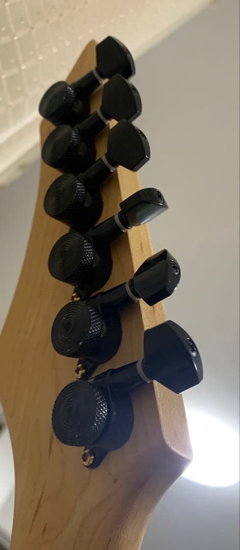 エレキギター メタル系 SSH 24フレット l Ds