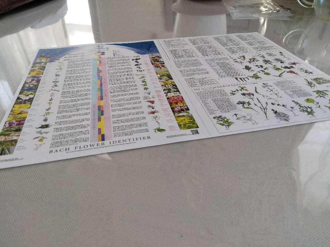 ココモコファイブフラワー３０ミリ３本ヒーリングハーブス社フラワーエッセンス