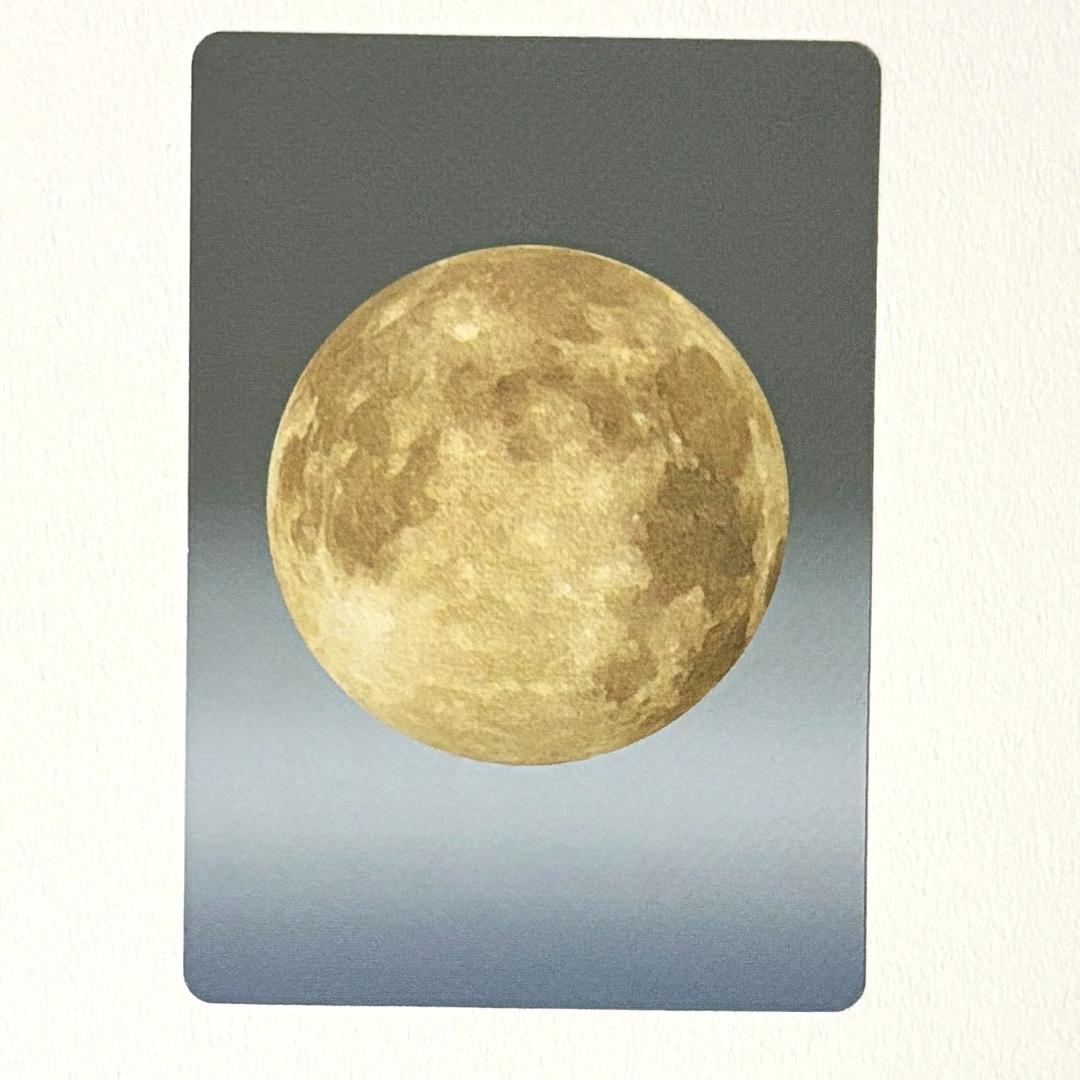 水木しげる 妖怪伝 妖怪博士 のんのんばあ 鬼太郎等23枚＋未開封パック セット