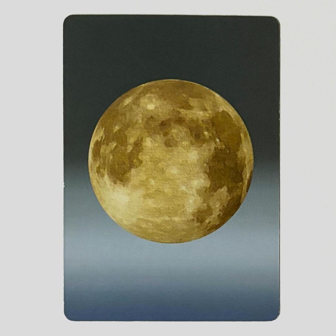 水木しげる 妖怪伝 妖怪博士 のんのんばあ 鬼太郎等23枚＋未開封パック セット