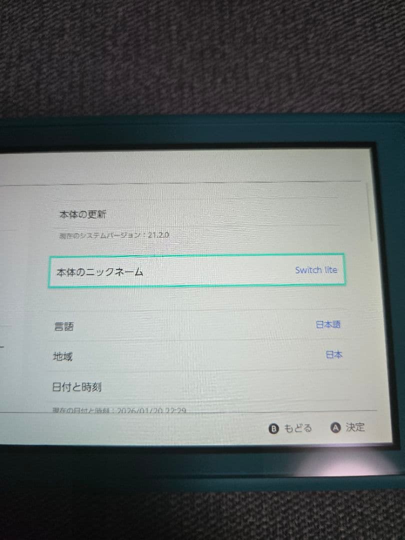 Nintendo Switch LITE ターコイズ 動作確認済み