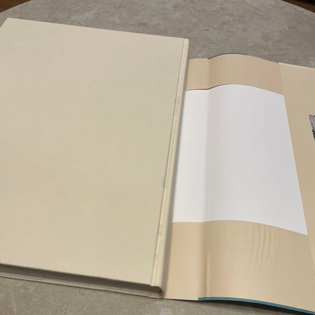 ジョンデリアン　本　ピクチャーブック