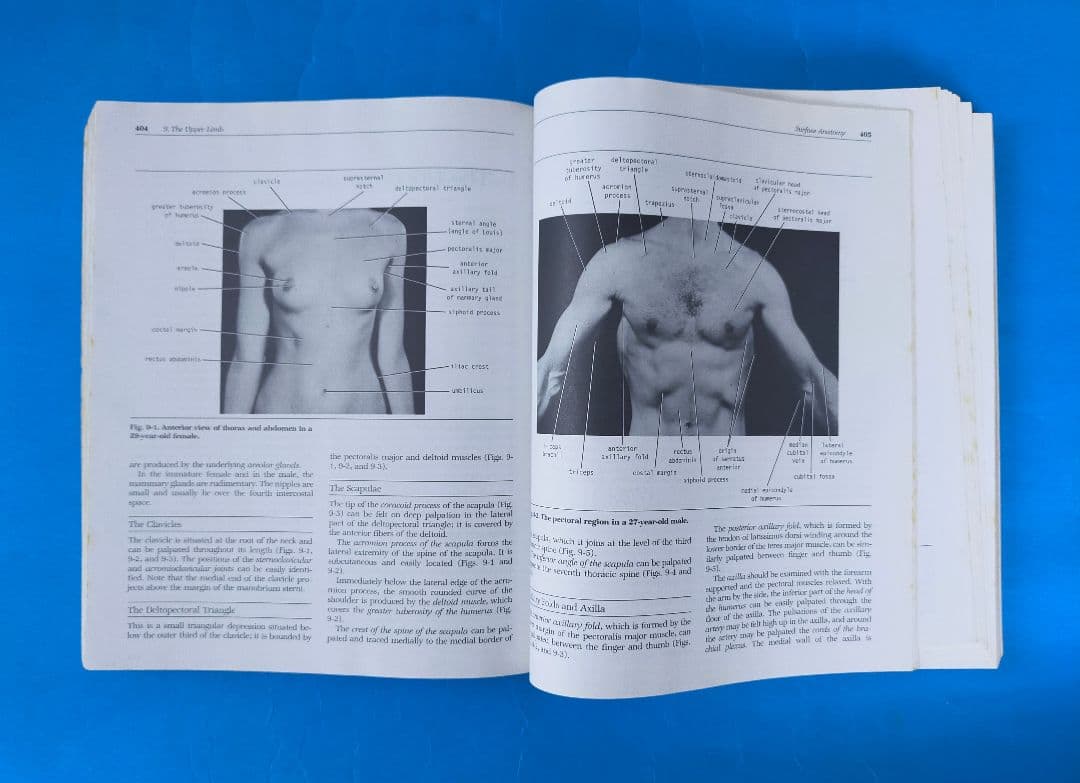 激レア❗希少❗貴重❗医学生のための臨床解剖学 医学書 掘り出し物❗