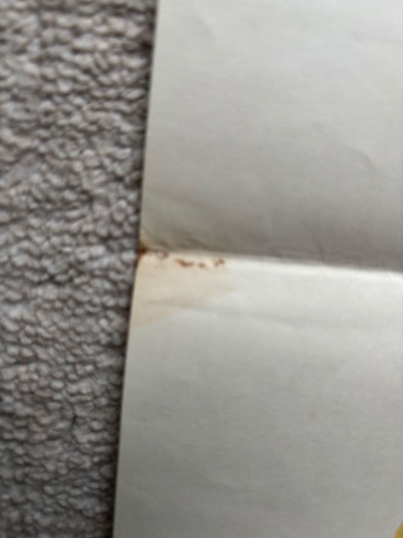 ビートルズポスター　52cm×72cm