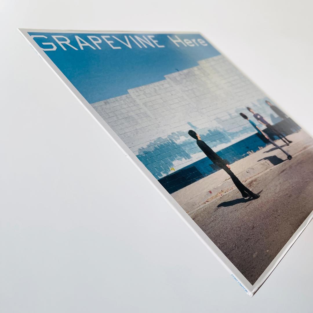 稀少 レコード〔 GRAPEVINE - Here 〕グレイプバイン