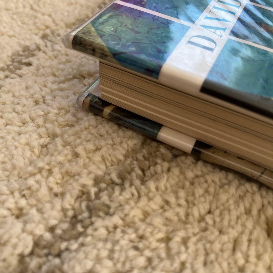 David Hockney CAMERAWORKS ホックニー　写真集